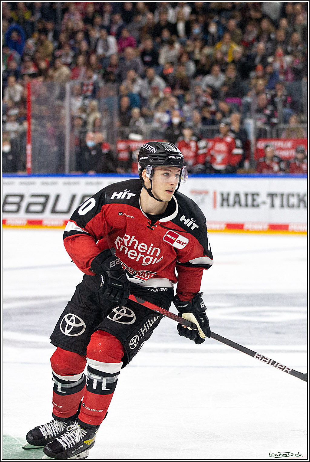 PENNY DEL;  Koelner Haie - Krefeld Pinguins; Koeln, 31.10.2021